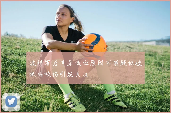 波特赛后耳朵流血原因不明疑似被抓或咬伤引发关注