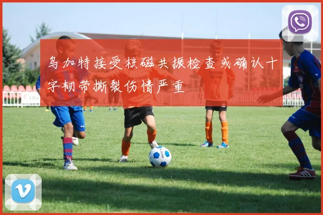 乌加特接受核磁共振检查或确认十字韧带撕裂伤情严重