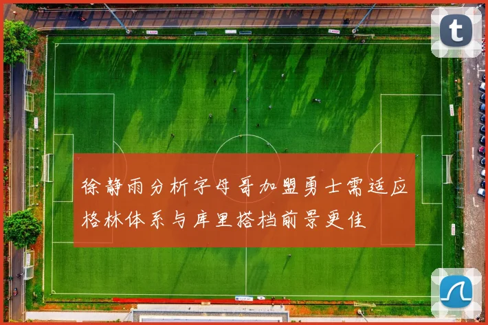 徐静雨分析字母哥加盟勇士需适应格林体系与库里搭档前景更佳