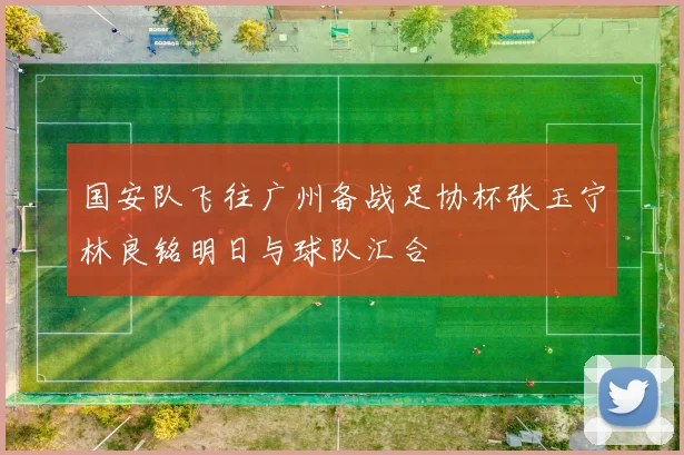国安队飞往广州备战足协杯张玉宁林良铭明日与球队汇合